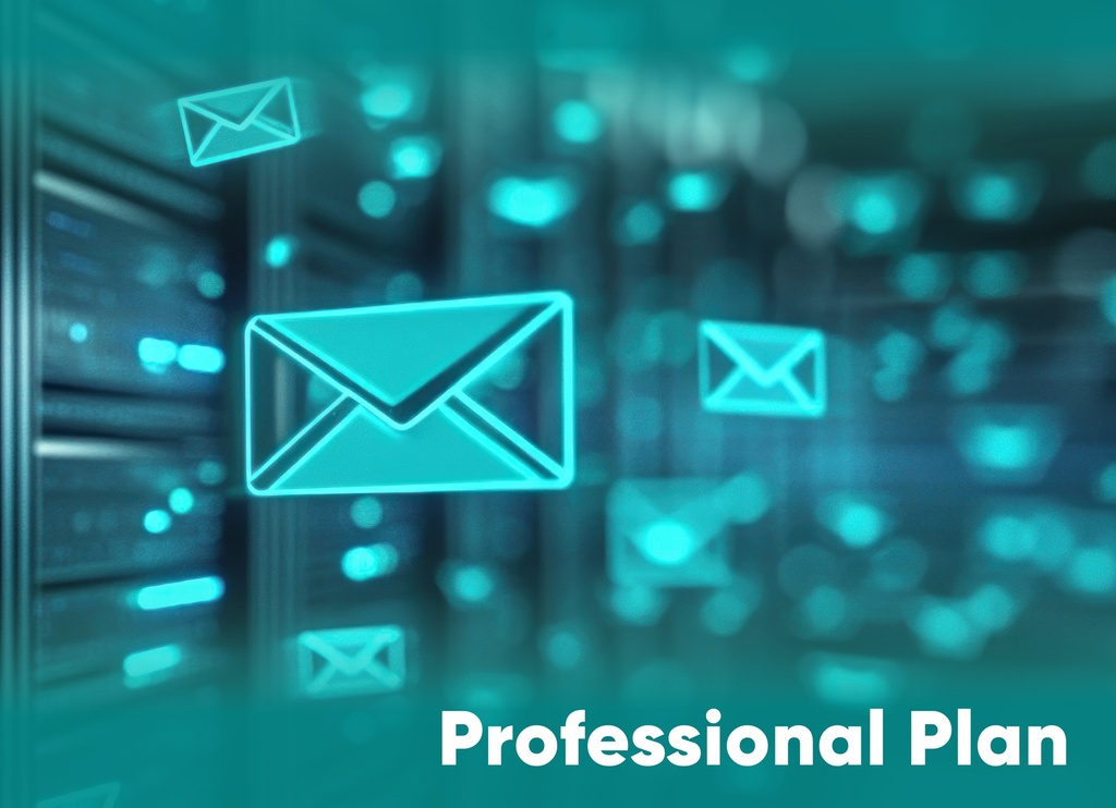 Email Service Professional Plan