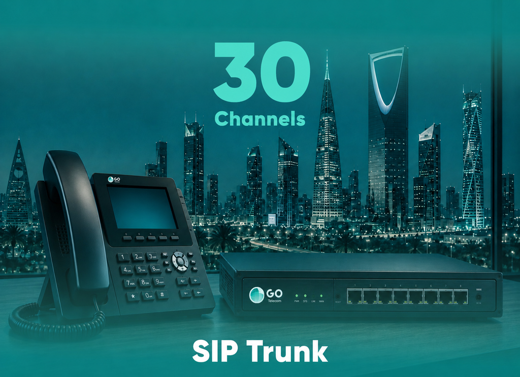 خدمة اتصالات صوتية عبر الإنترنت 30 قناة